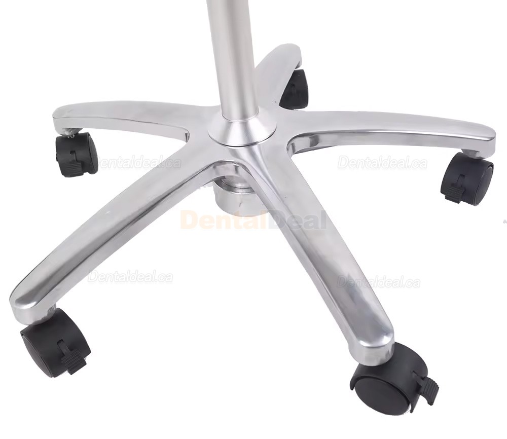 Micare JD1200L 12W Mobile Type Dental Examination Lamp Shadowless Oral Light Floor Standing